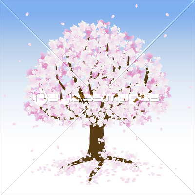 桜 ソメイヨシノ 桜の木 舞い散る 花びら 商用利用可能な写真素材 イラスト素材ならストックフォトの定額制ペイレスイメージズ