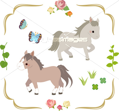 かわいい馬と薔薇 商用利用可能な写真素材 イラスト素材ならストックフォトの定額制ペイレスイメージズ