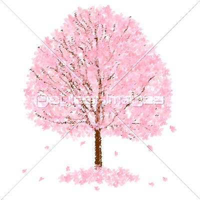 桜 木 花 商用利用可能な写真素材 イラスト素材ならストックフォトの定額制ペイレスイメージズ