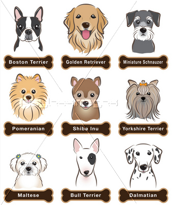 犬 ネームプレート 商用利用可能な写真素材 イラスト素材ならストックフォトの定額制ペイレスイメージズ