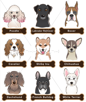 犬 ネームプレート ストックフォトの定額制ペイレスイメージズ