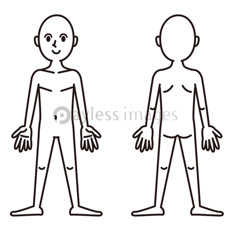 人体図1 白黒 ストックフォトの定額制ペイレスイメージズ