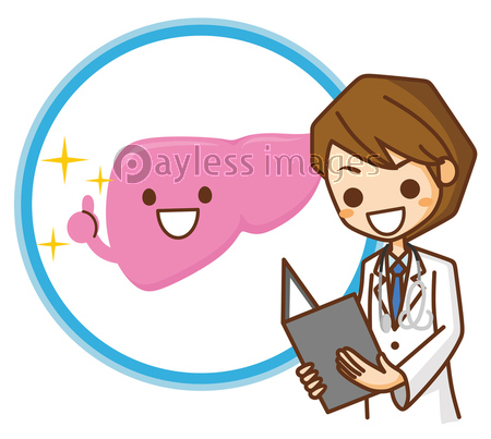 肝臓 イラスト 商用利用可能な写真素材 イラスト素材ならストックフォトの定額制ペイレスイメージズ