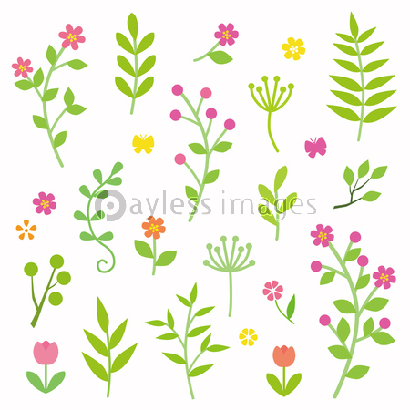 草花 素材 商用利用可能な写真素材 イラスト素材ならストックフォトの定額制ペイレスイメージズ