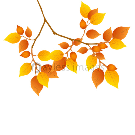 もみじ 紅葉 アイコン 商用利用可能な写真素材 イラスト素材ならストックフォトの定額制ペイレスイメージズ