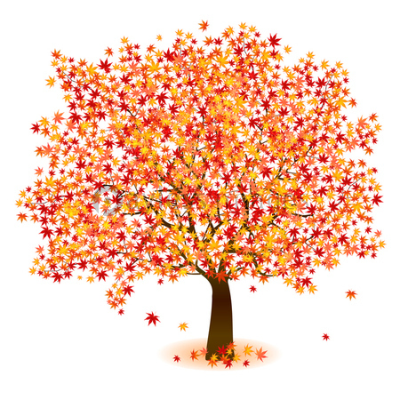 美しい花の画像 驚くばかりリアル 紅葉 木 イラスト