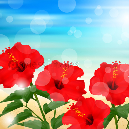 ハイビスカス 海 背景 ストックフォトの定額制ペイレスイメージズ