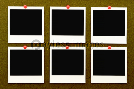 ボードに貼ったポラロイド写真 商用利用可能な写真素材 イラスト素材ならストックフォトの定額制ペイレスイメージズ