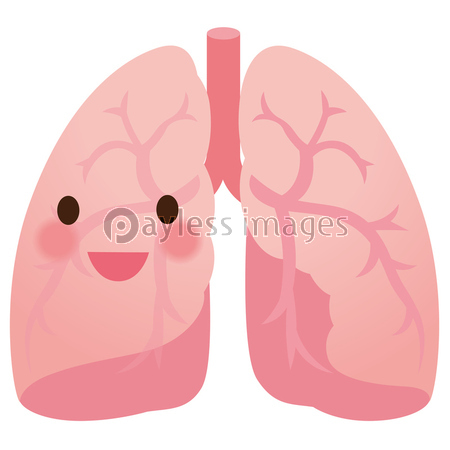 健康な肺 イラスト 商用利用可能な写真素材 イラスト素材ならストックフォトの定額制ペイレスイメージズ