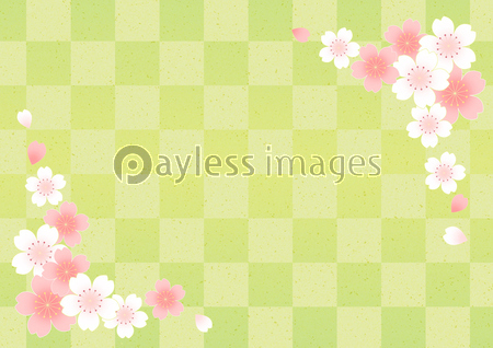 桜と市松模様のフレーム 緑 商用利用可能な写真素材 イラスト素材ならストックフォトの定額制ペイレスイメージズ