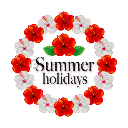 ハイビスカスのフレーム ストックフォトの定額制ペイレスイメージズ