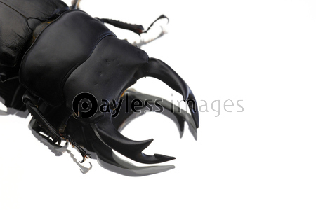 �������塞��