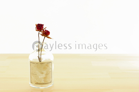 �Х顡�ɥ饤�ե�