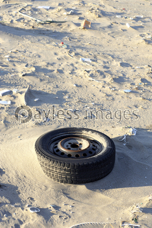 ɺήʪ������