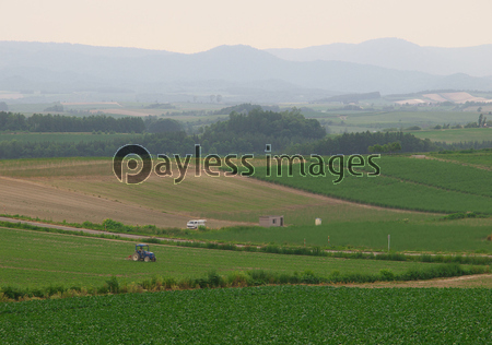 ���ͤ�����