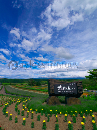 ���͡�����֤ε�