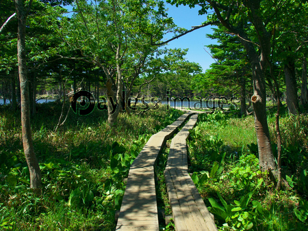 �ξ��޸Фθ�����ƻ