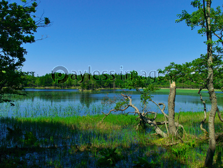 �ξ��޸С�����