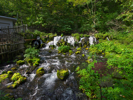 ������ϼ ����Į��ͯ��᤭�Ф���