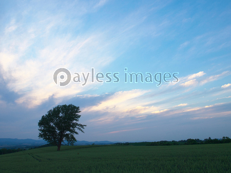 ���͡�ů�ؤ���