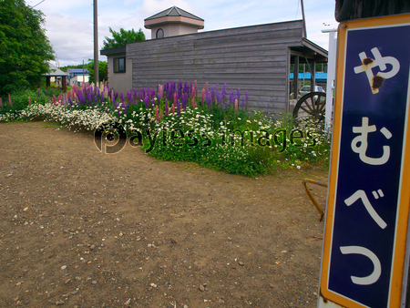 �������� ���̱� ���ʥå�