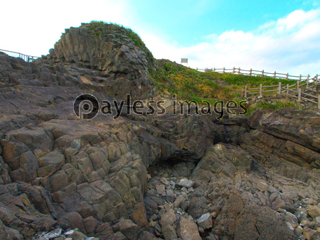 ���� ����