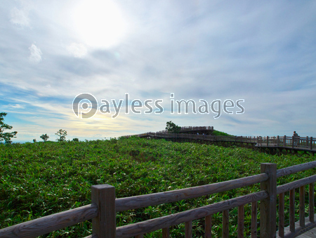 �ξ��޸Фι����ƻ