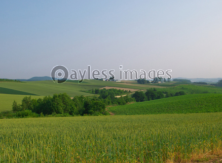 ���͡��֤�����