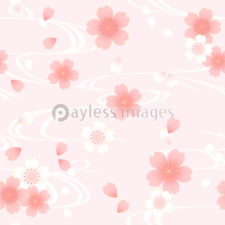 桜柄背景 黒バック 商用利用可能な写真素材 イラスト素材ならストックフォトの定額制ペイレスイメージズ