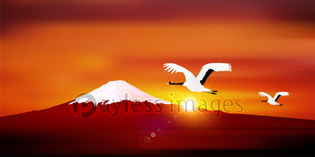 富士山 鶴 日の出 背景 商用利用可能な写真素材 イラスト素材ならストックフォトの定額制ペイレスイメージズ