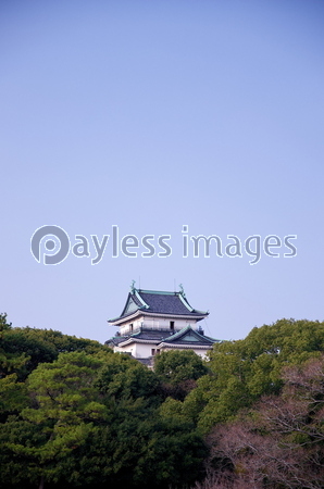 ���ξ���²λ���