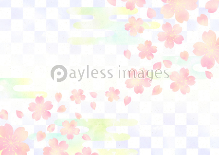 桜と市松模様の壁紙 ストックフォトの定額制ペイレスイメージズ