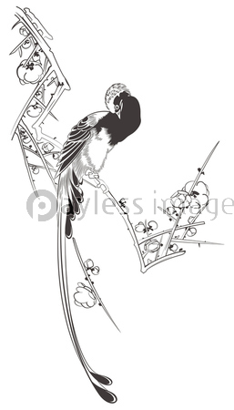 歌川広重 白梅に寿帯鳥のイメージイラスト 商用利用可能な写真素材 イラスト素材ならストックフォトの定額制ペイレスイメージズ