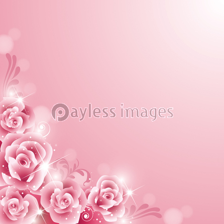 薔薇背景 商用利用可能な写真素材 イラスト素材ならストックフォトの定額制ペイレスイメージズ