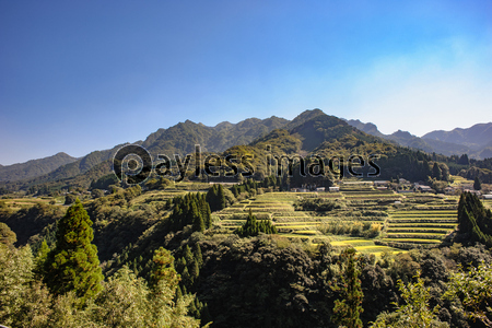 ���ä�Τ��ī