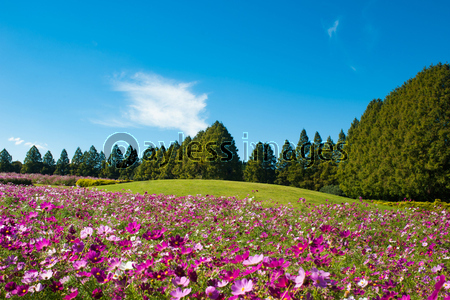 �����⥹�κ餯��