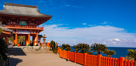 ���Ϳ���