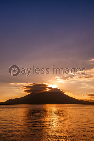 ����_������������