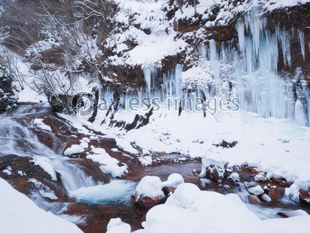 ��ë��ë��ɹ��