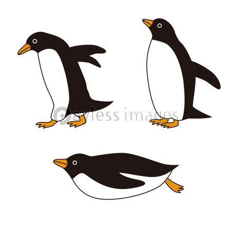 いろいろなポーズのペンギン 商用利用可能な写真素材 イラスト素材ならストックフォトの定額制ペイレスイメージズ