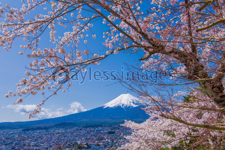 富士山 ストックフォトの定額制ペイレスイメージズ