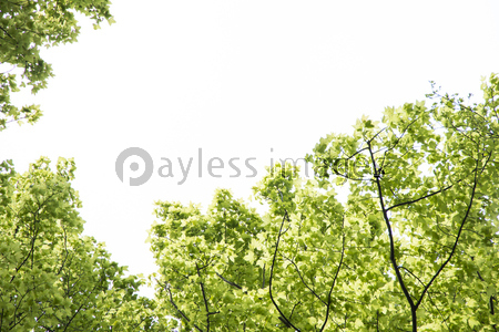 ���Ф��ڡ�