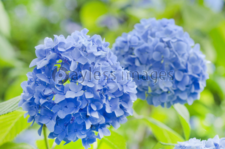 �߱��λ��۲�