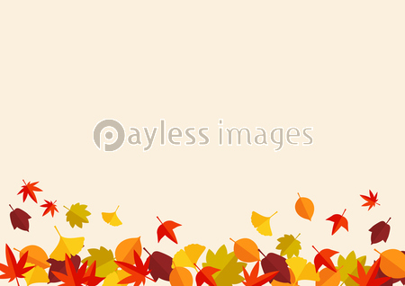 紅葉 落ち葉 背景 ストックフォトの定額制ペイレスイメージズ