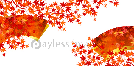 紅葉 秋 もみじ 背景 商用利用可能な写真素材 イラスト素材ならストックフォトの定額制ペイレスイメージズ