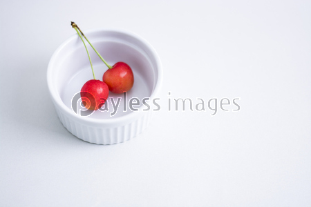 �������ܡ������꡼