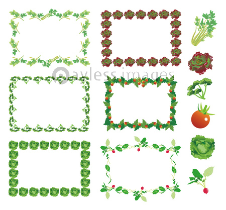 野菜フレーム 四角 セロリ サニーレタス パセリ ミニトマト レタス ラディッシュ 写真素材 イラスト素材ならストックフォトの定額制ペイレスイメージズ
