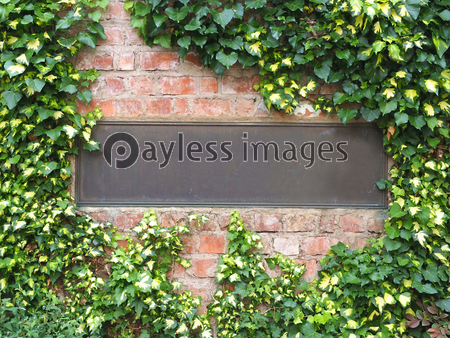 �ĥ��Τ�����