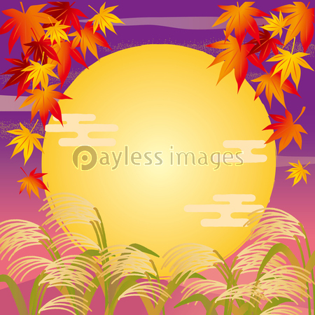 うさぎ お月見 月 商用利用可能な写真素材 イラスト素材ならストックフォトの定額制ペイレスイメージズ うさぎ お月見 月 商用利用可能な写真素材 イラスト素材ならストックフォトの定額制ペイレスイメージズ