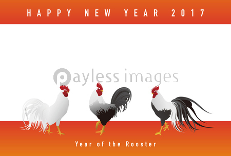 写実的な鶏イラストの 酉年 年賀状イラスト ストックフォトの定額制ペイレスイメージズ